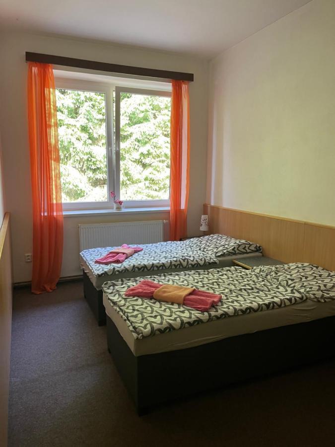 Apartman Novohradky 22 Benesov nad Cernou Εξωτερικό φωτογραφία