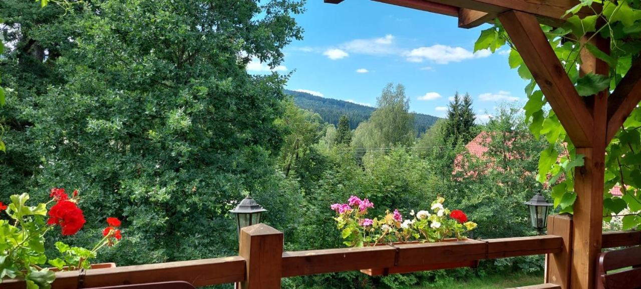 Apartman Novohradky 22 Benesov nad Cernou Εξωτερικό φωτογραφία